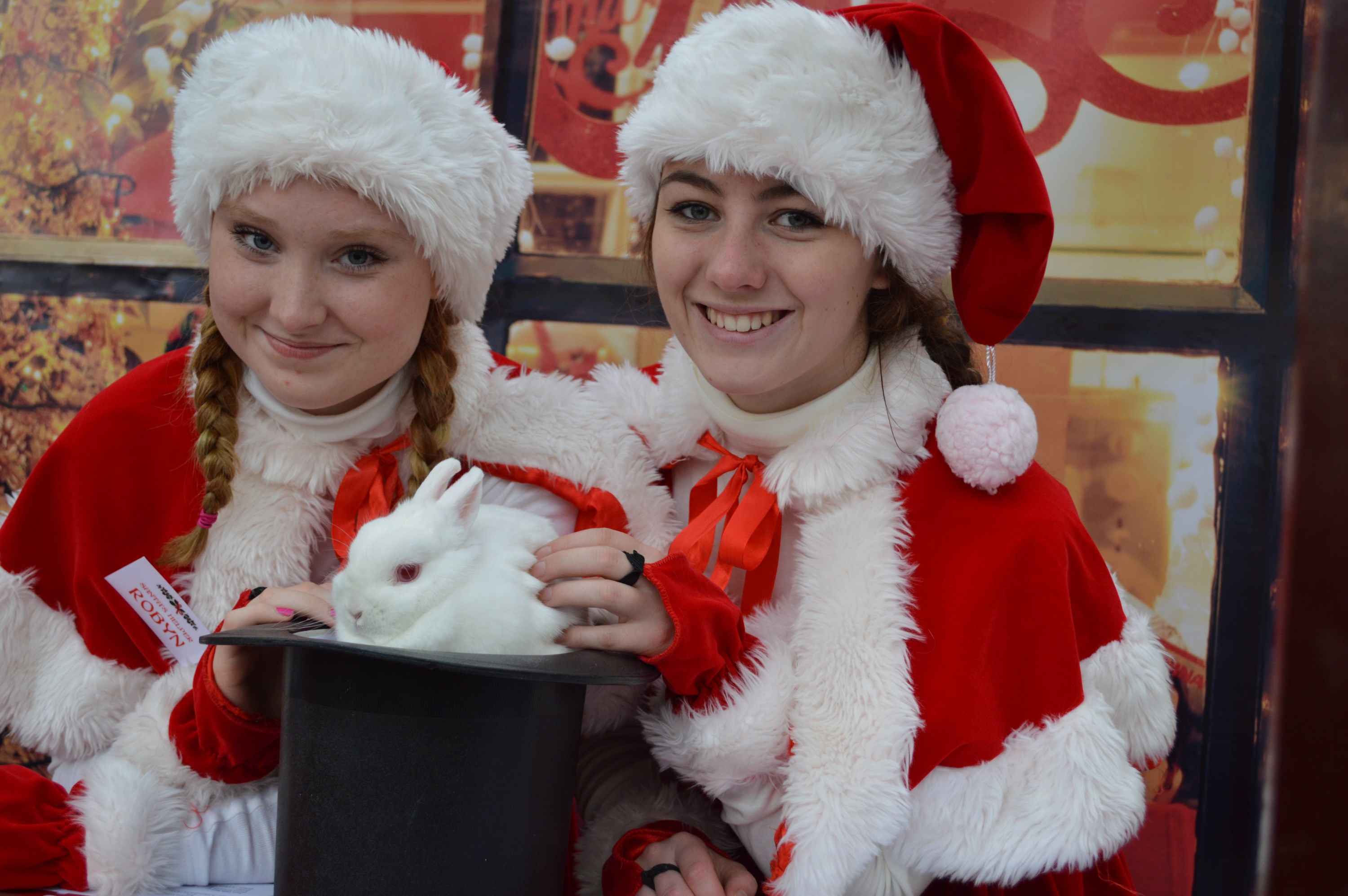 Santa's Grotto opens at Otter Nurseries The Exeter Daily